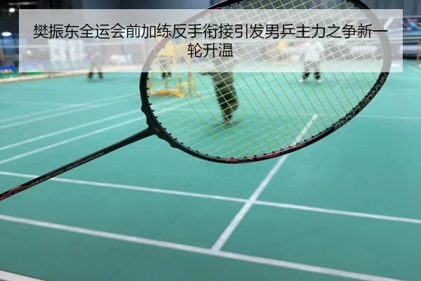 樊振东全运会前加练反手衔接引发男乒主力之争新一轮升温
